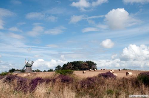 2009 amrum.photo a 003