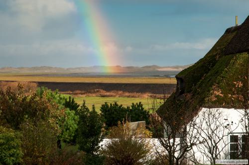 2013 amrum.photo a 005