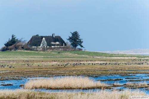 2014 amrum.photo a 007