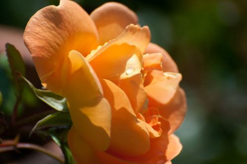 20090614 131113 D3H01888