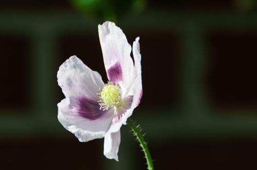 20100717 093722 D3H05705