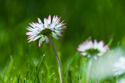 20120517 142636 D3H09888