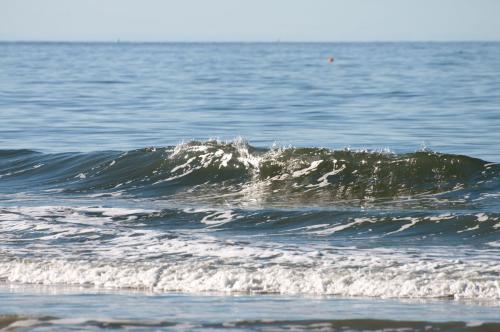 20091018 135635 D3H04409