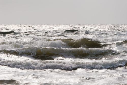 20110917 152545 D7H04450