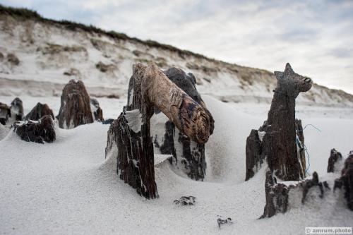 2013 amrum.photo sg 005